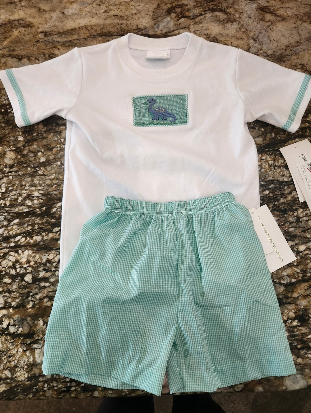 Children's White T-Shirt & Mint Green Check Shorts Matching Set